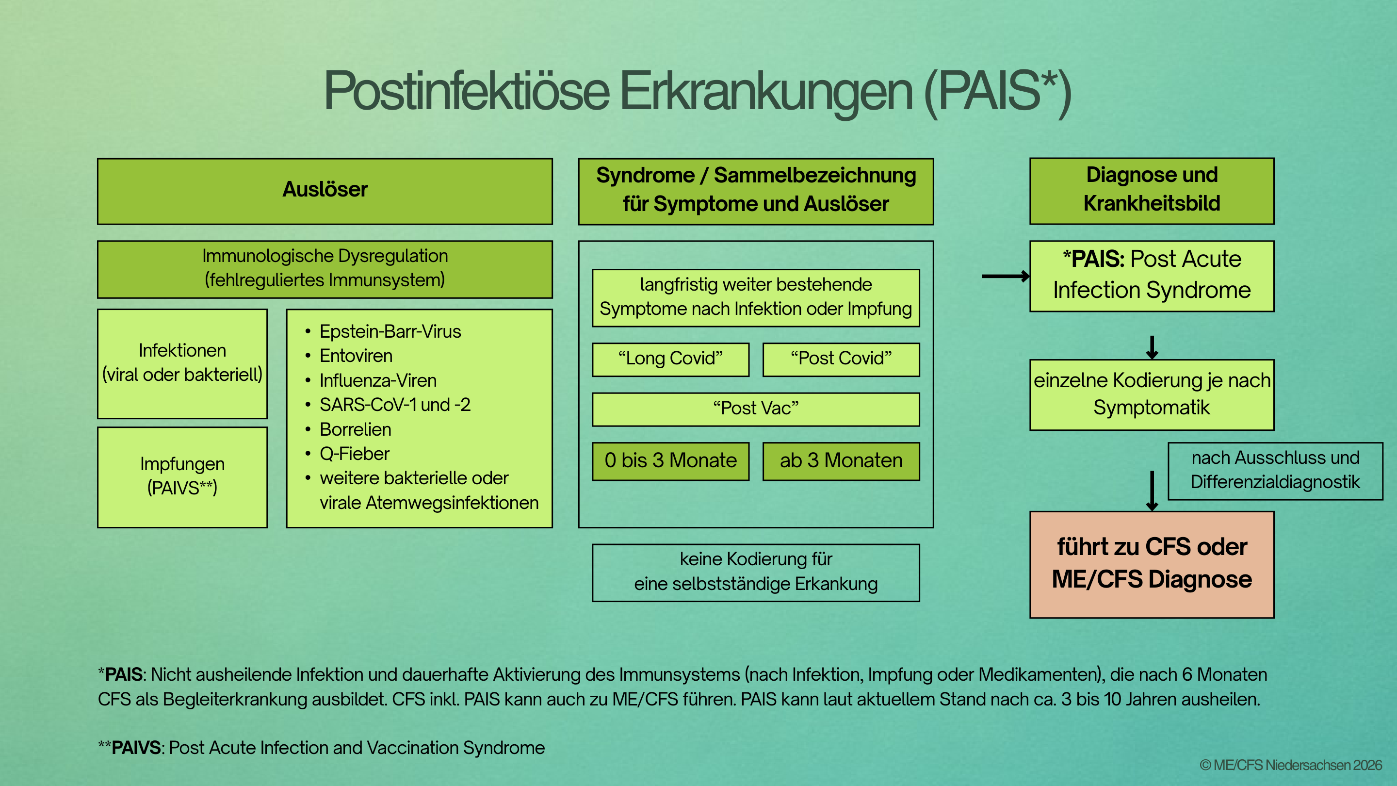 Folie 5: Postinfektiöse Erkrankungen (PAIS*) – Diagramm mit Auslösern, Diagnosen und Krankheitsbild